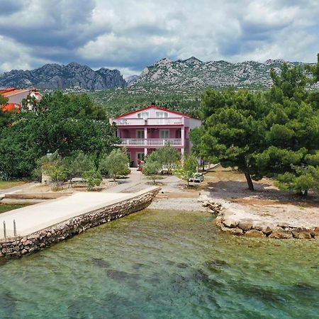 Villa Rajna Starigrad Paklenica Exteriör bild