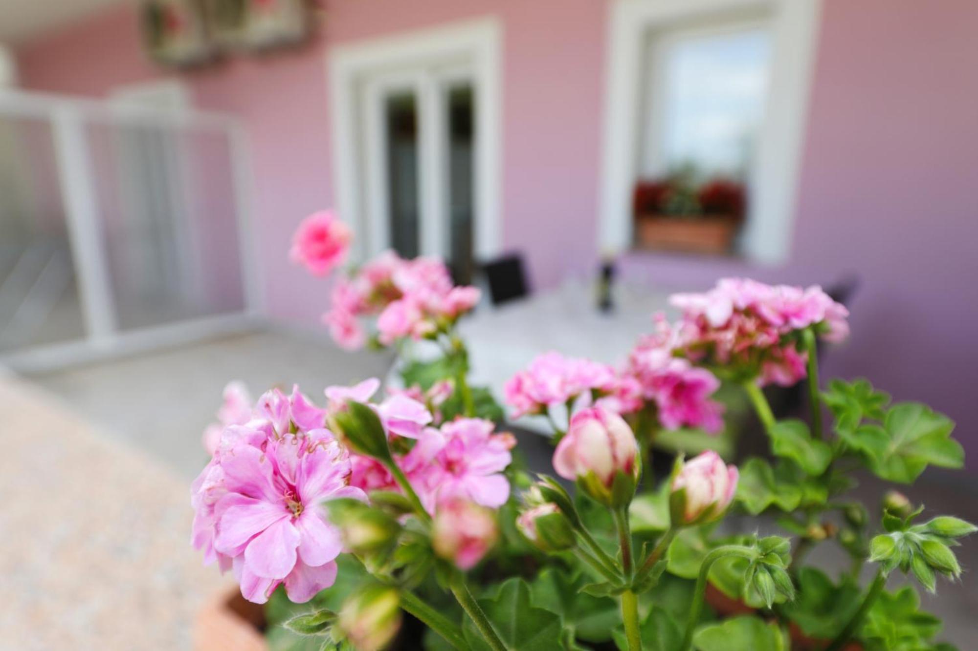 Villa Rajna Starigrad Paklenica Rum bild
