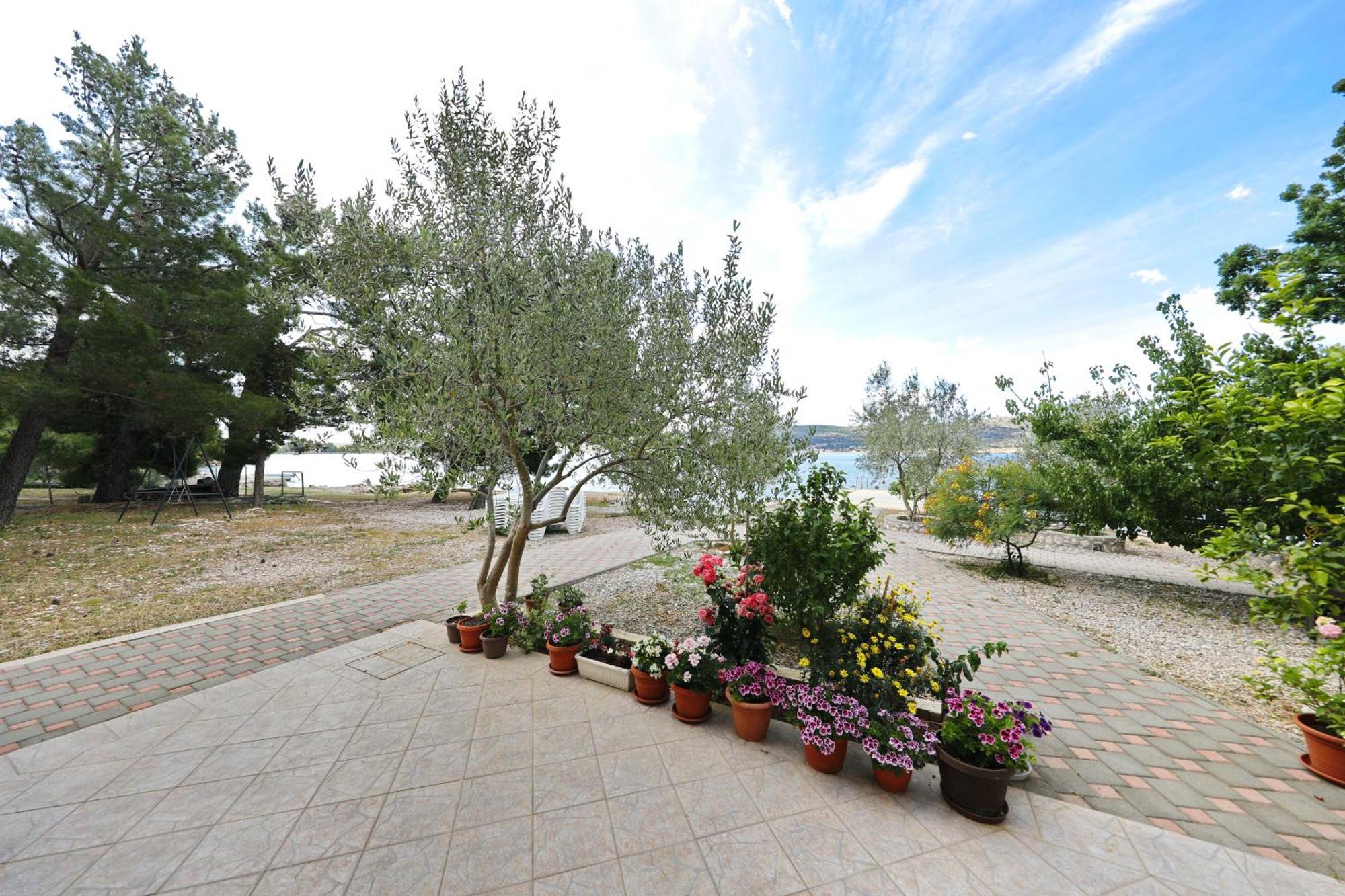 Villa Rajna Starigrad Paklenica Rum bild