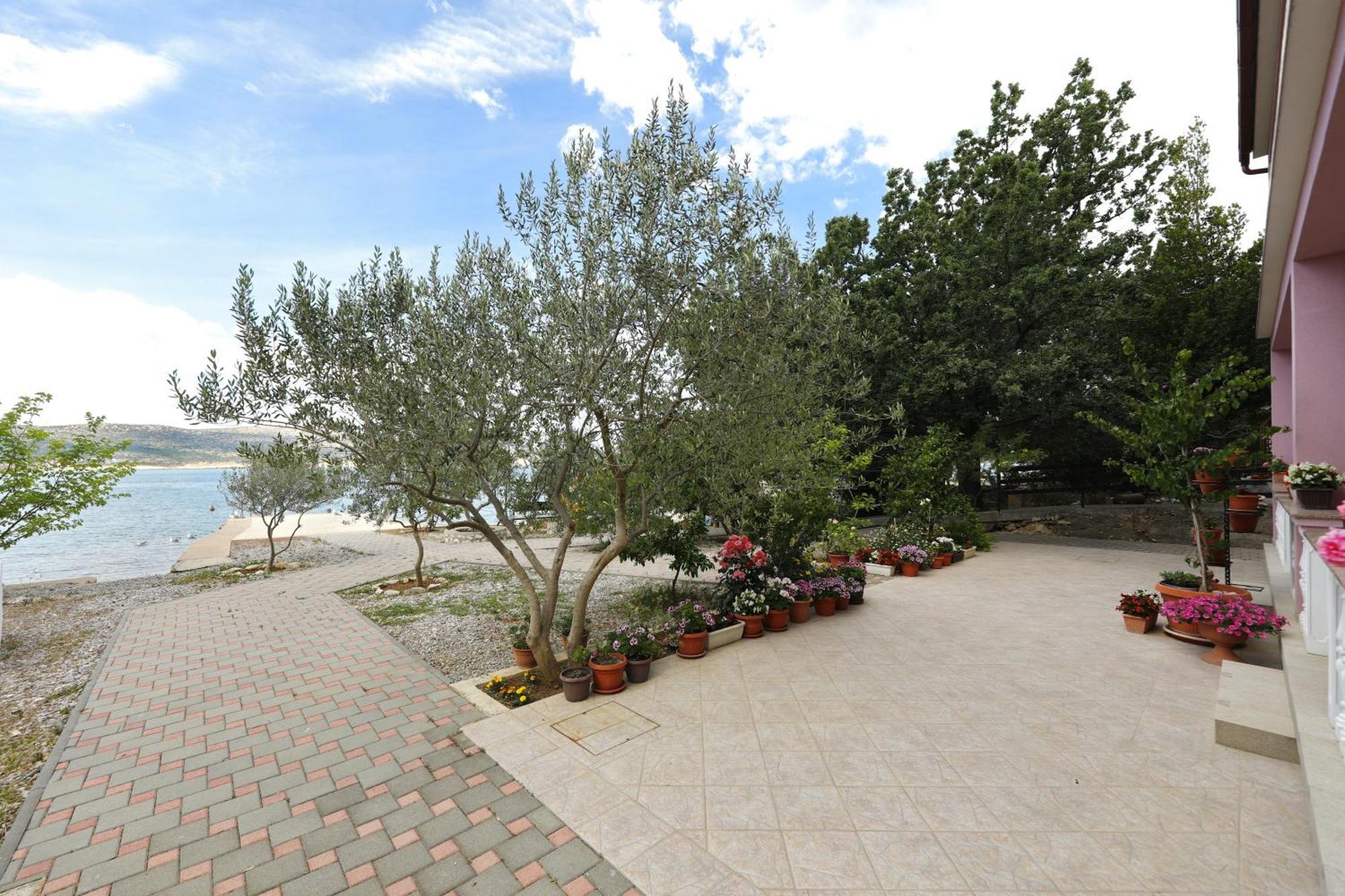 Villa Rajna Starigrad Paklenica Rum bild