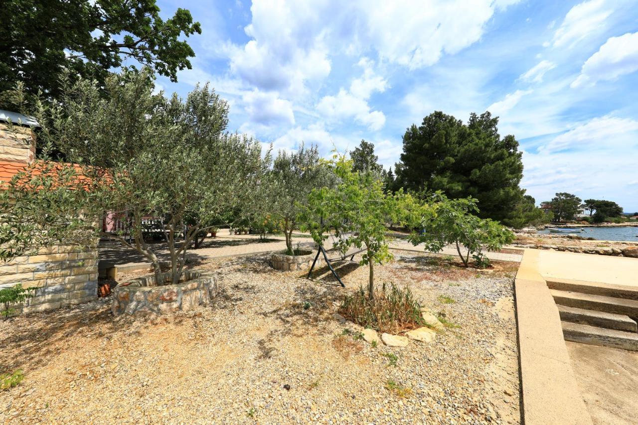 Villa Rajna Starigrad Paklenica Exteriör bild